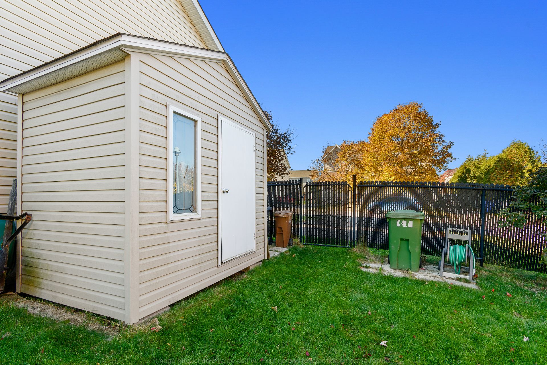 Shed