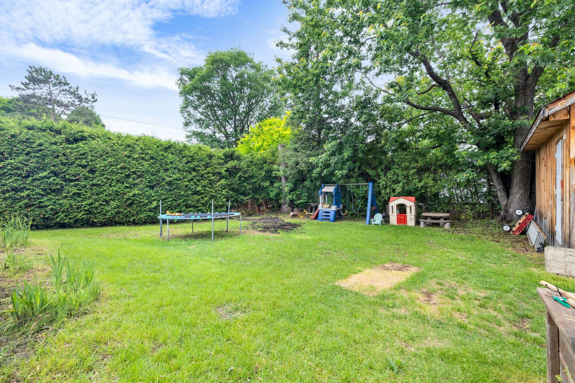 Backyard