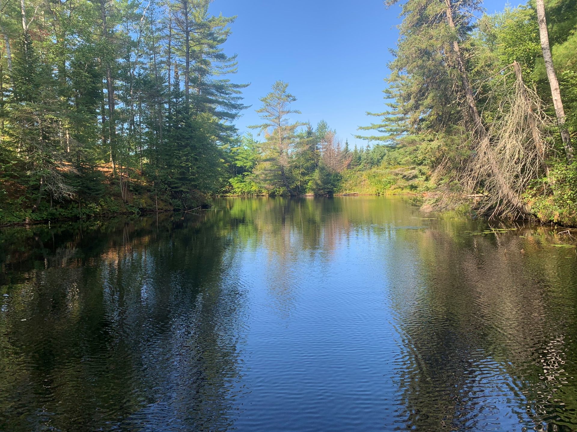 Accès au plan d'eau