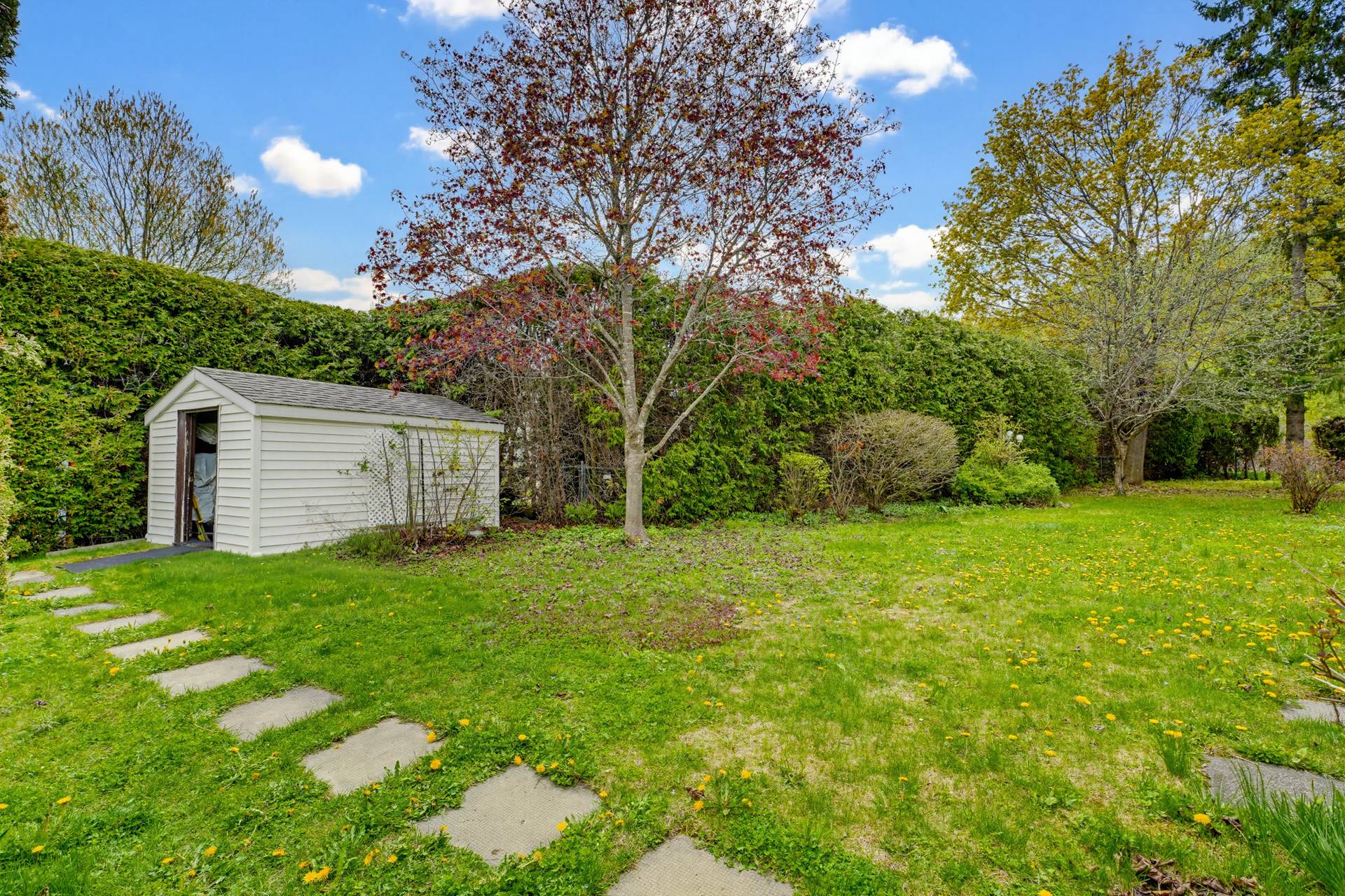 Backyard