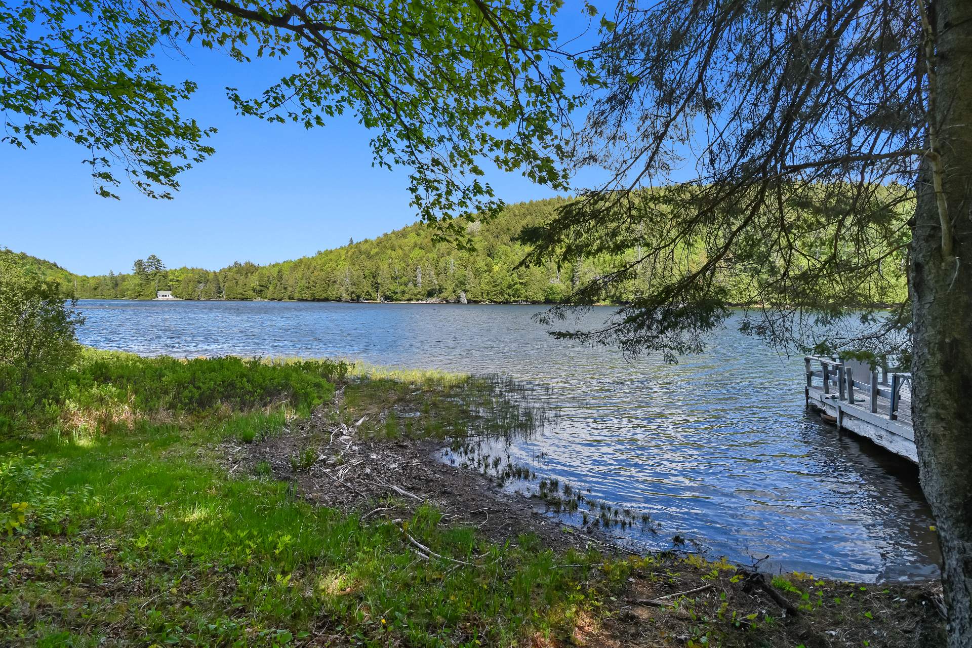 Bord de l'eau