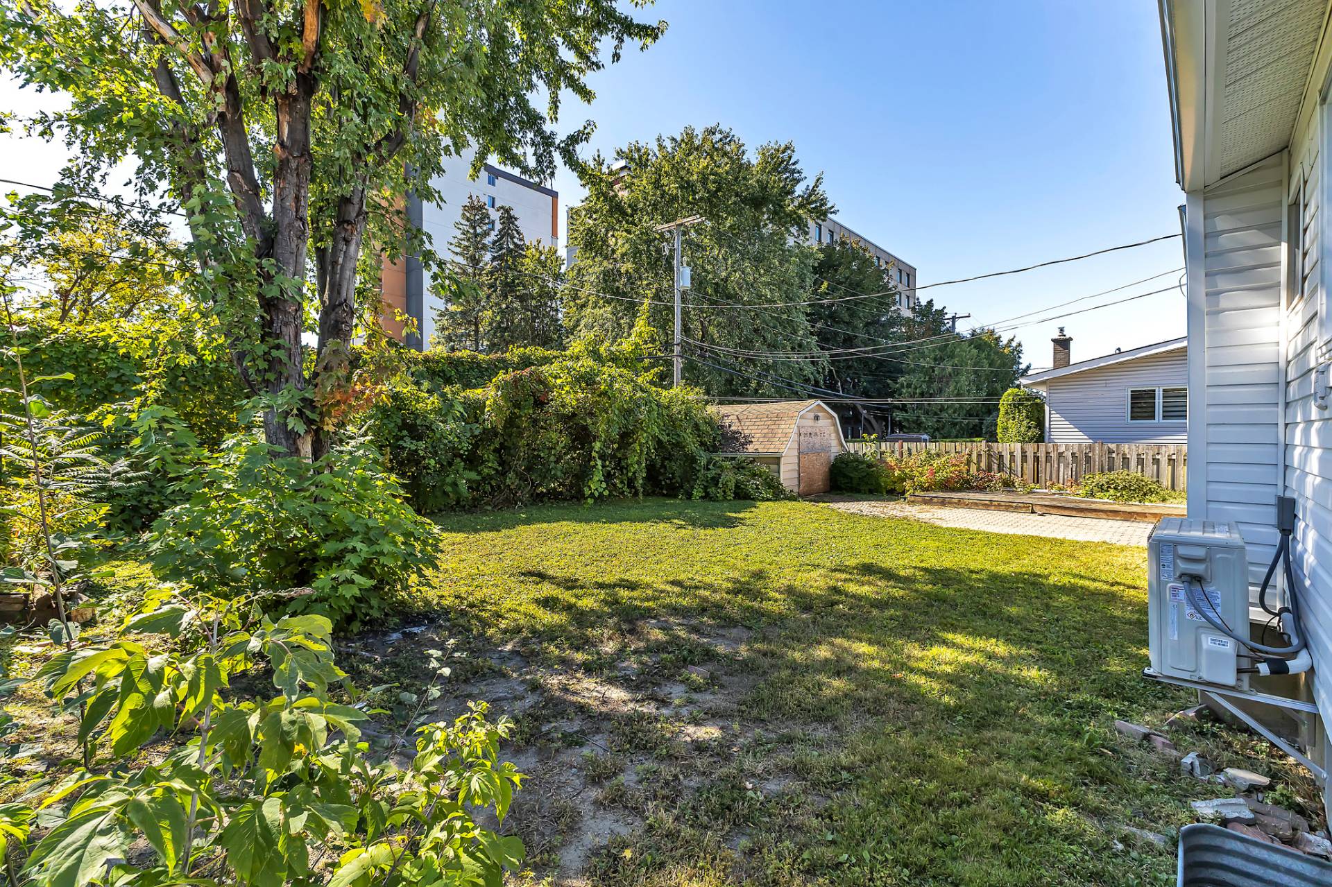 Backyard
