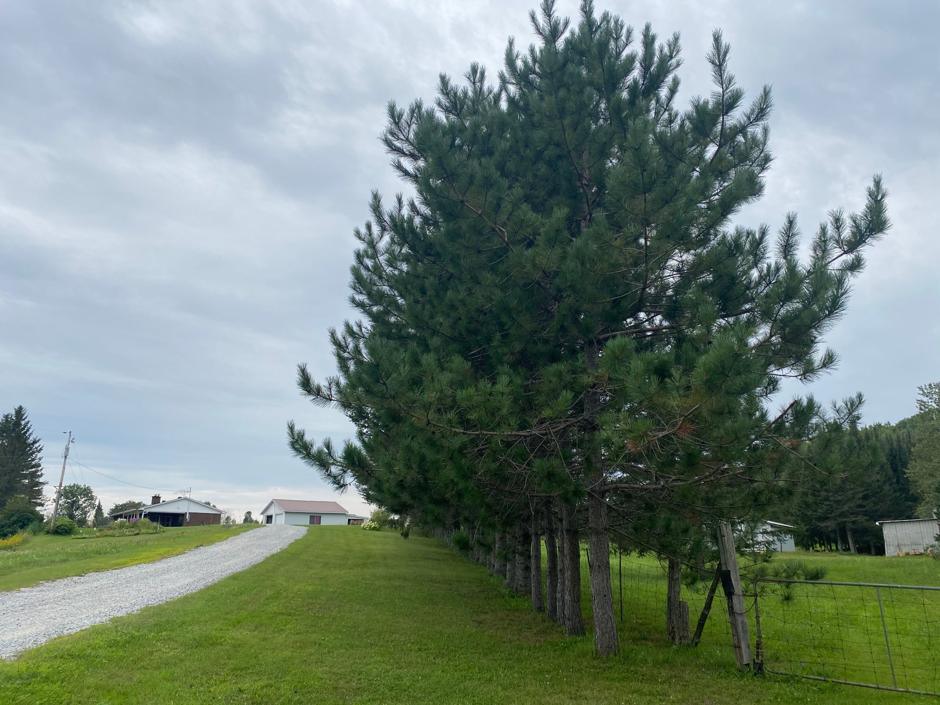 Terre/Terrain