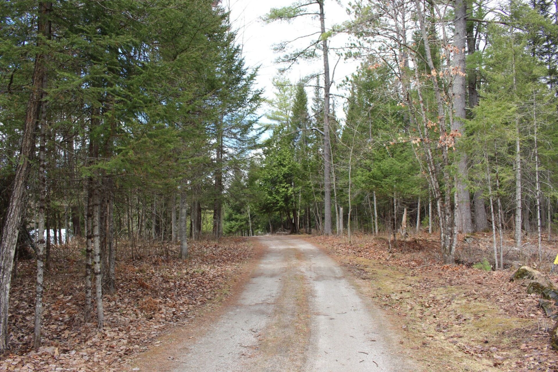 Land/Lot