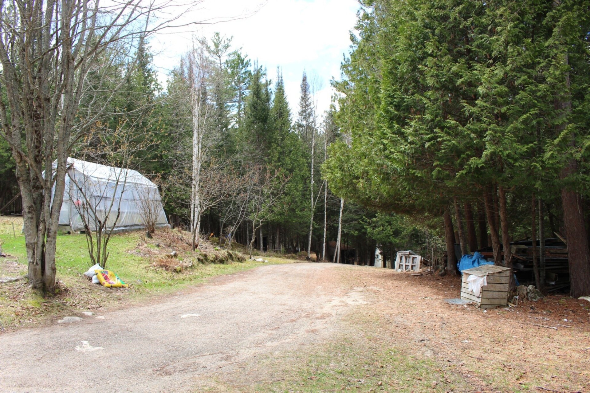 Land/Lot