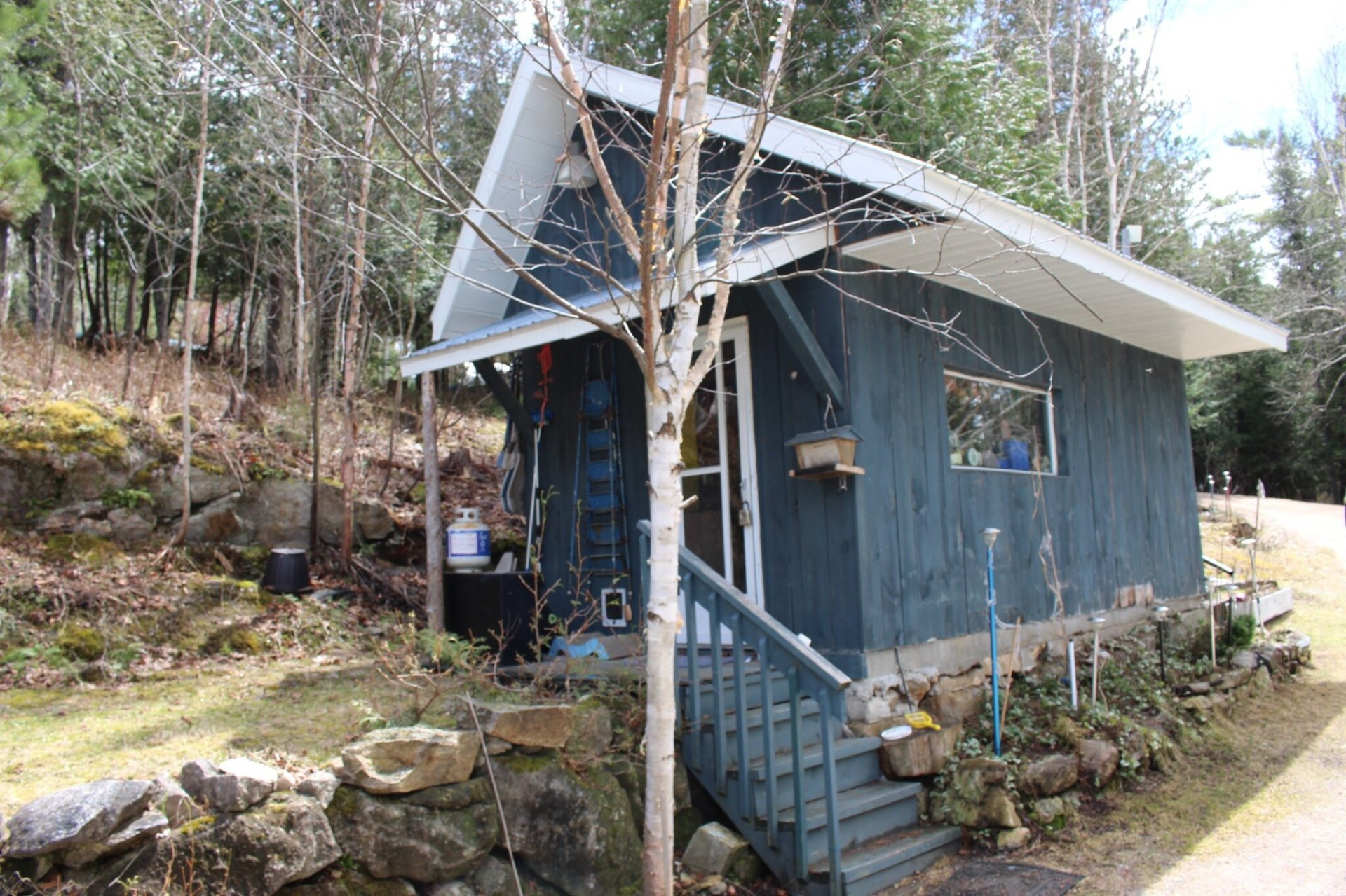 Shed