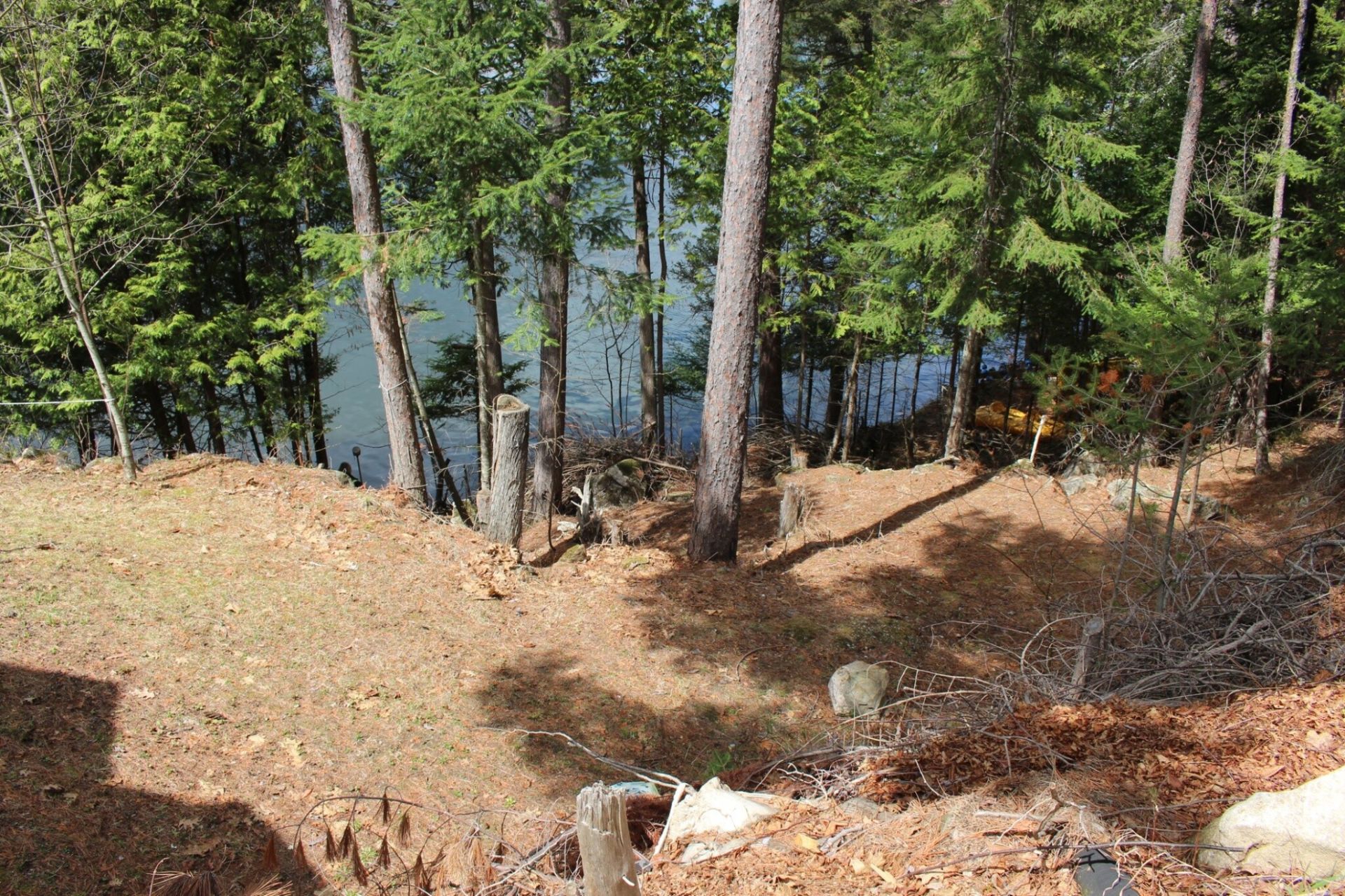 Land/Lot