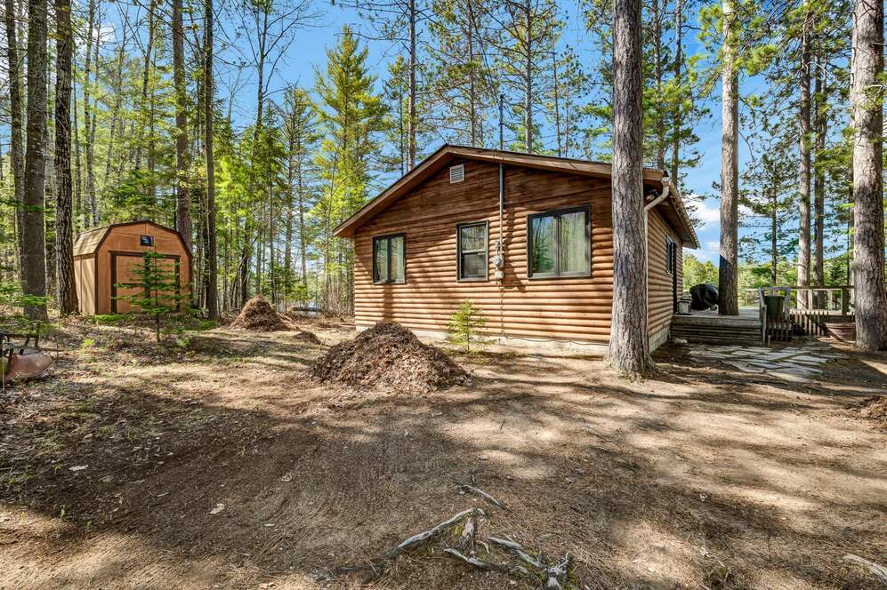 135 Ch. Red Pine 