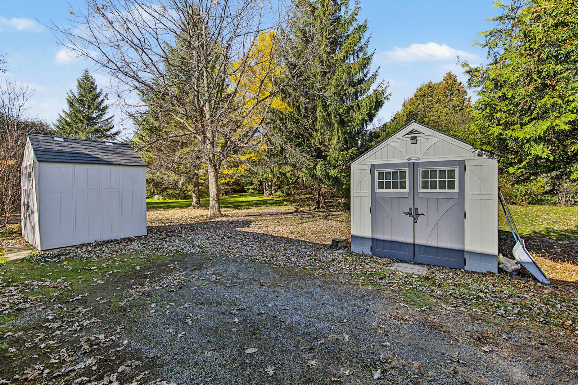 Shed