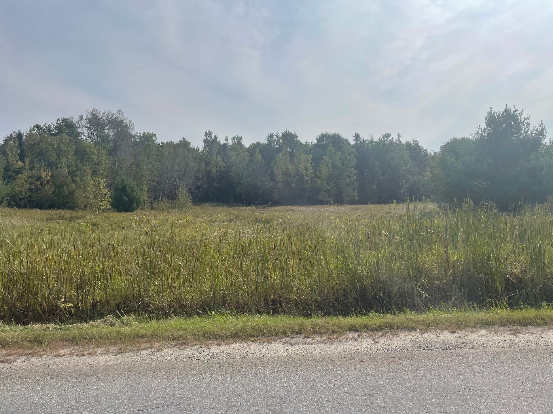 Land/Lot