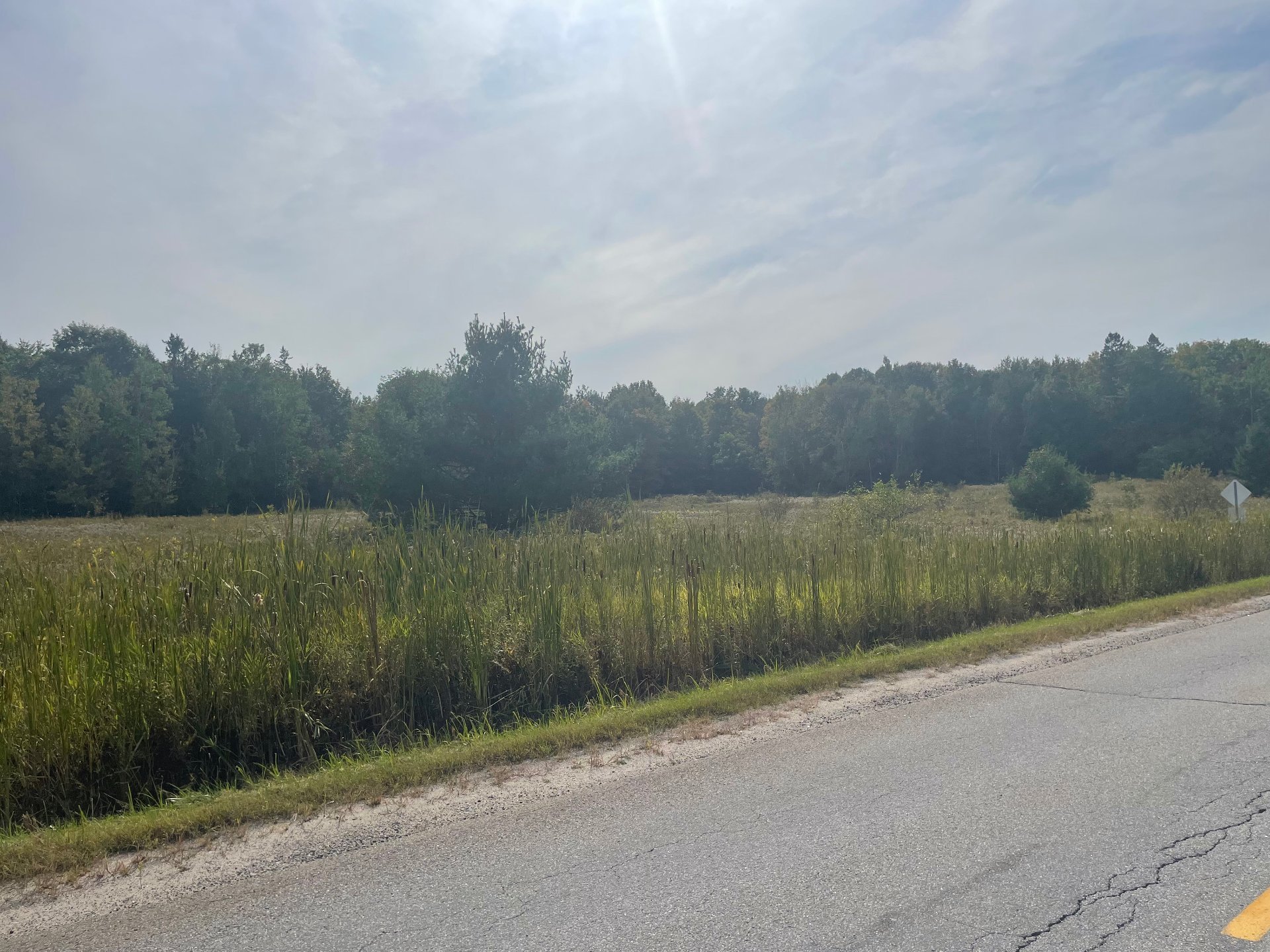 Land/Lot