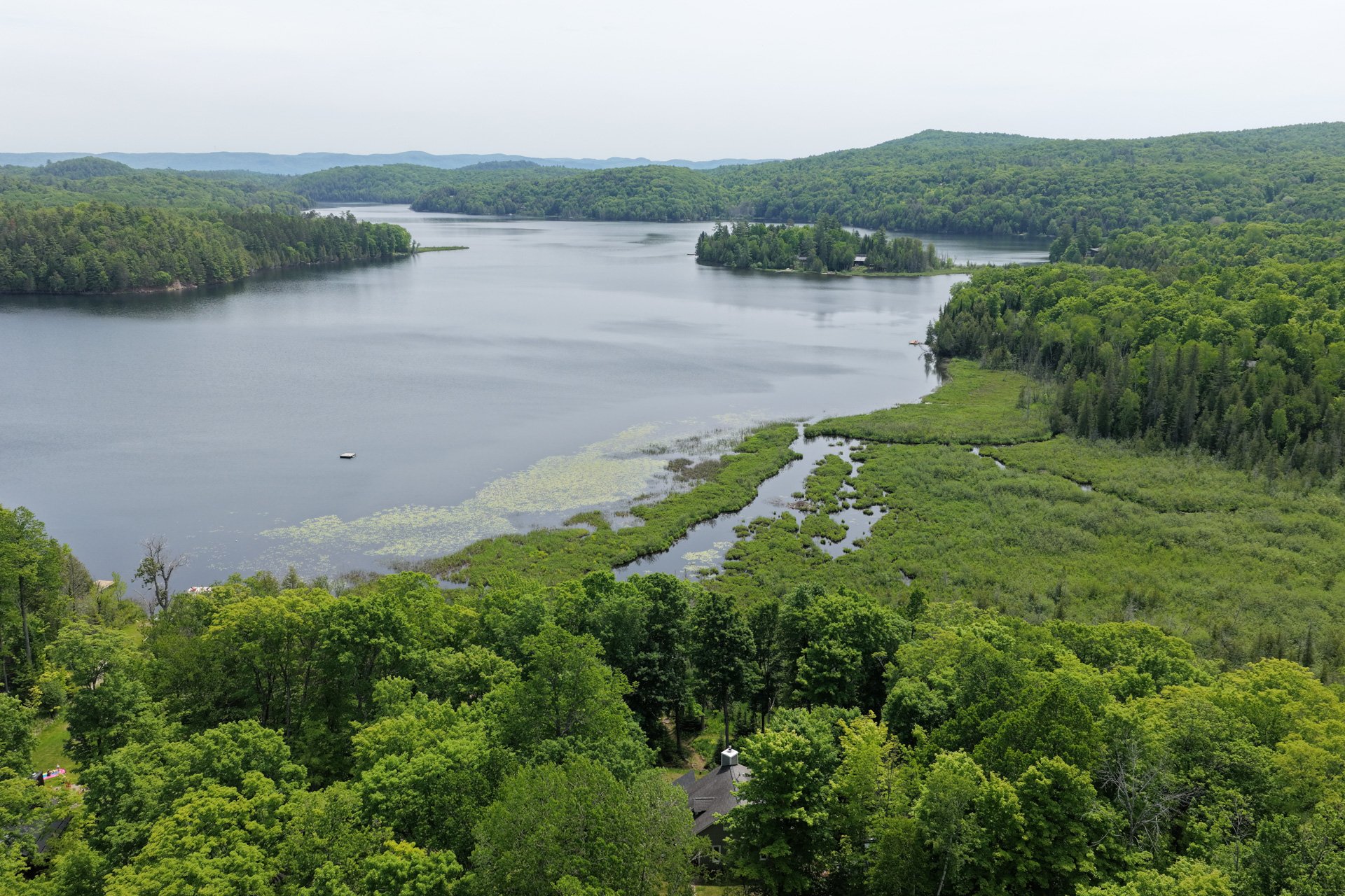 Aerial photo