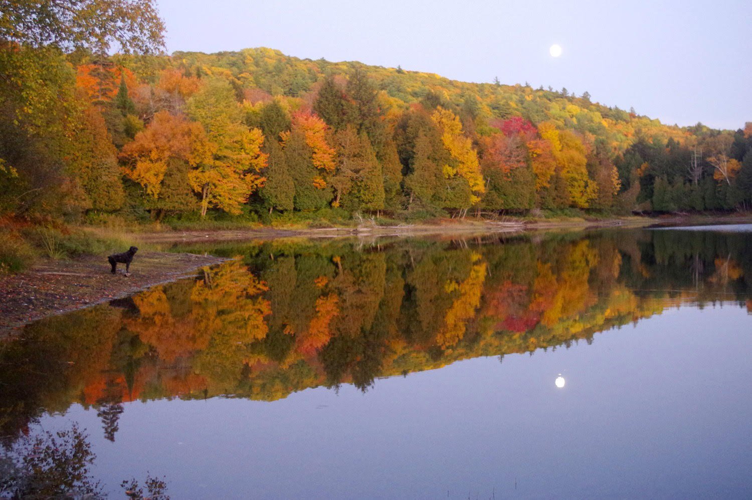 Bord de l'eau - automne