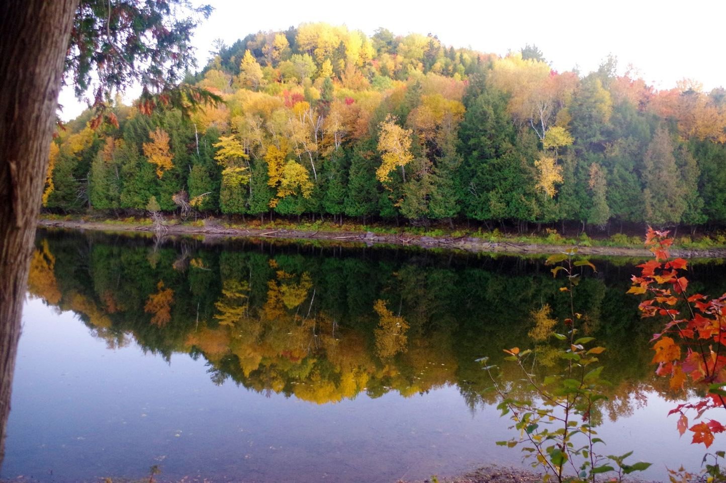Bord de l'eau - automne