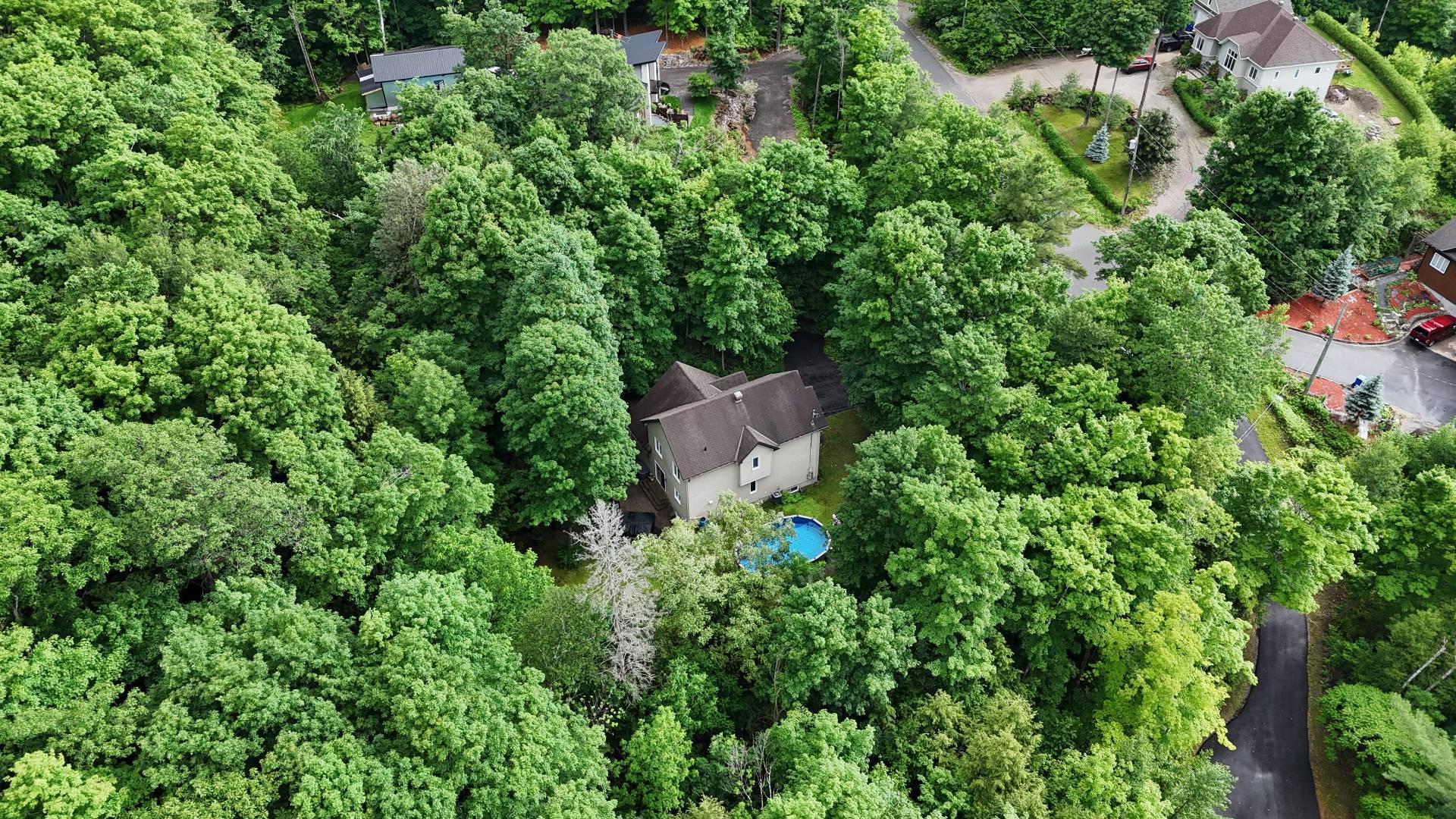 Aerial photo
