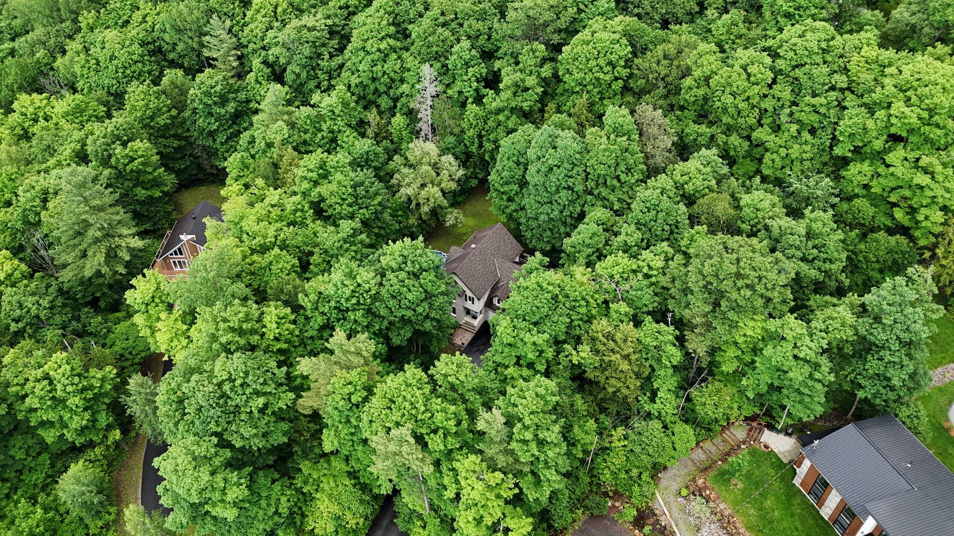 Aerial photo