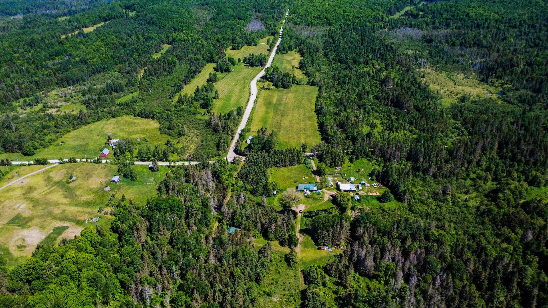 Overall View