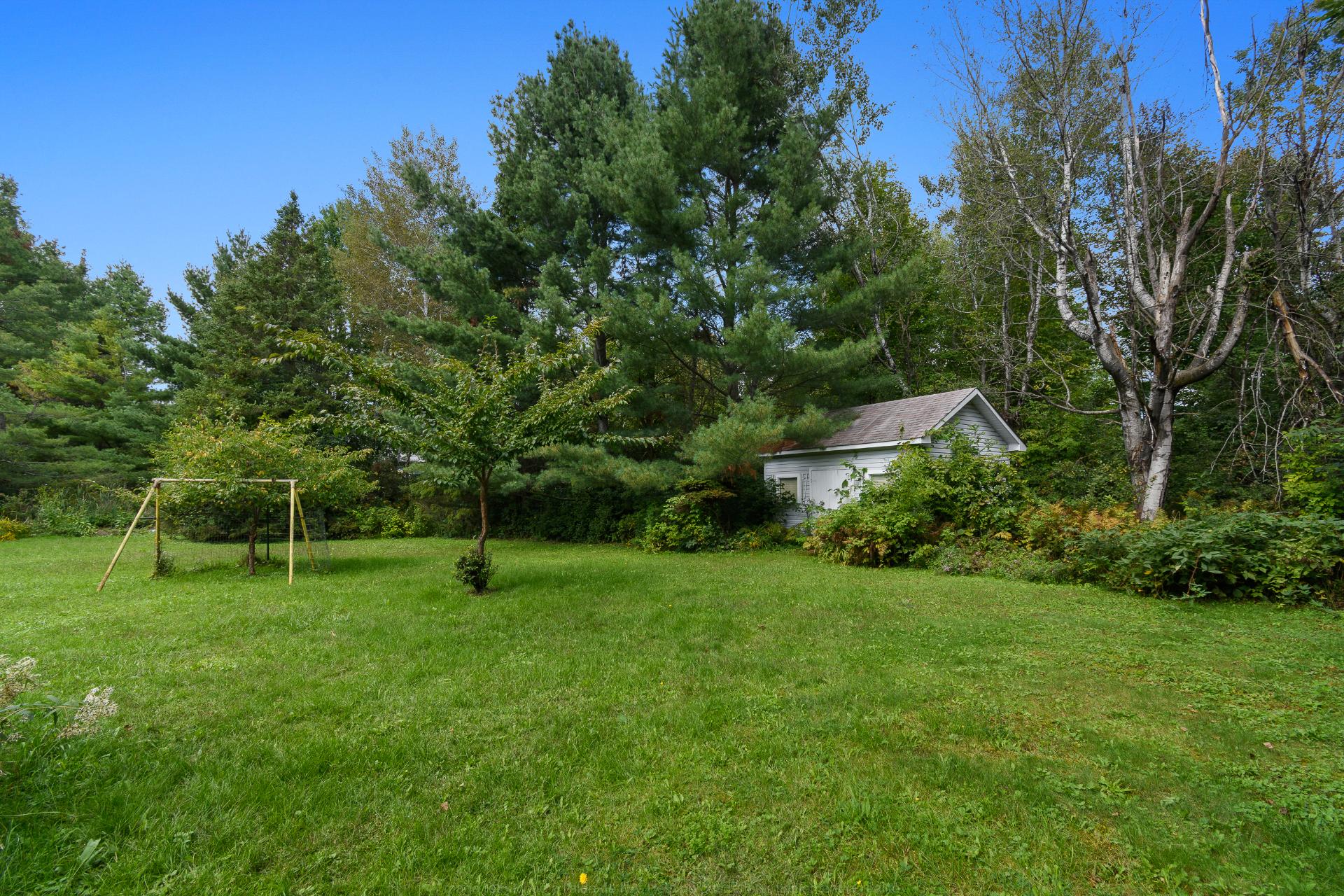 Backyard