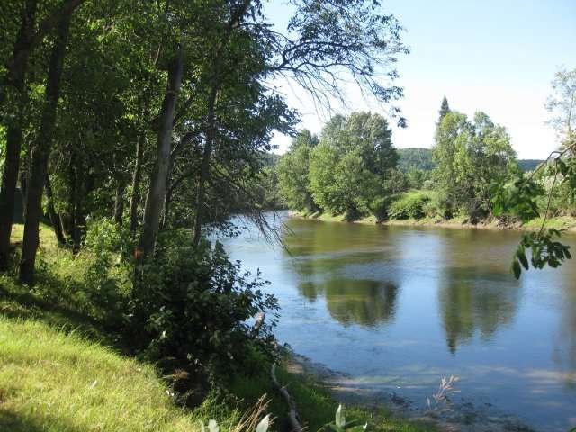 Water view