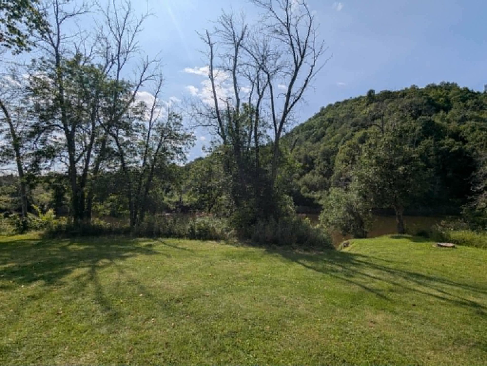 Overall view