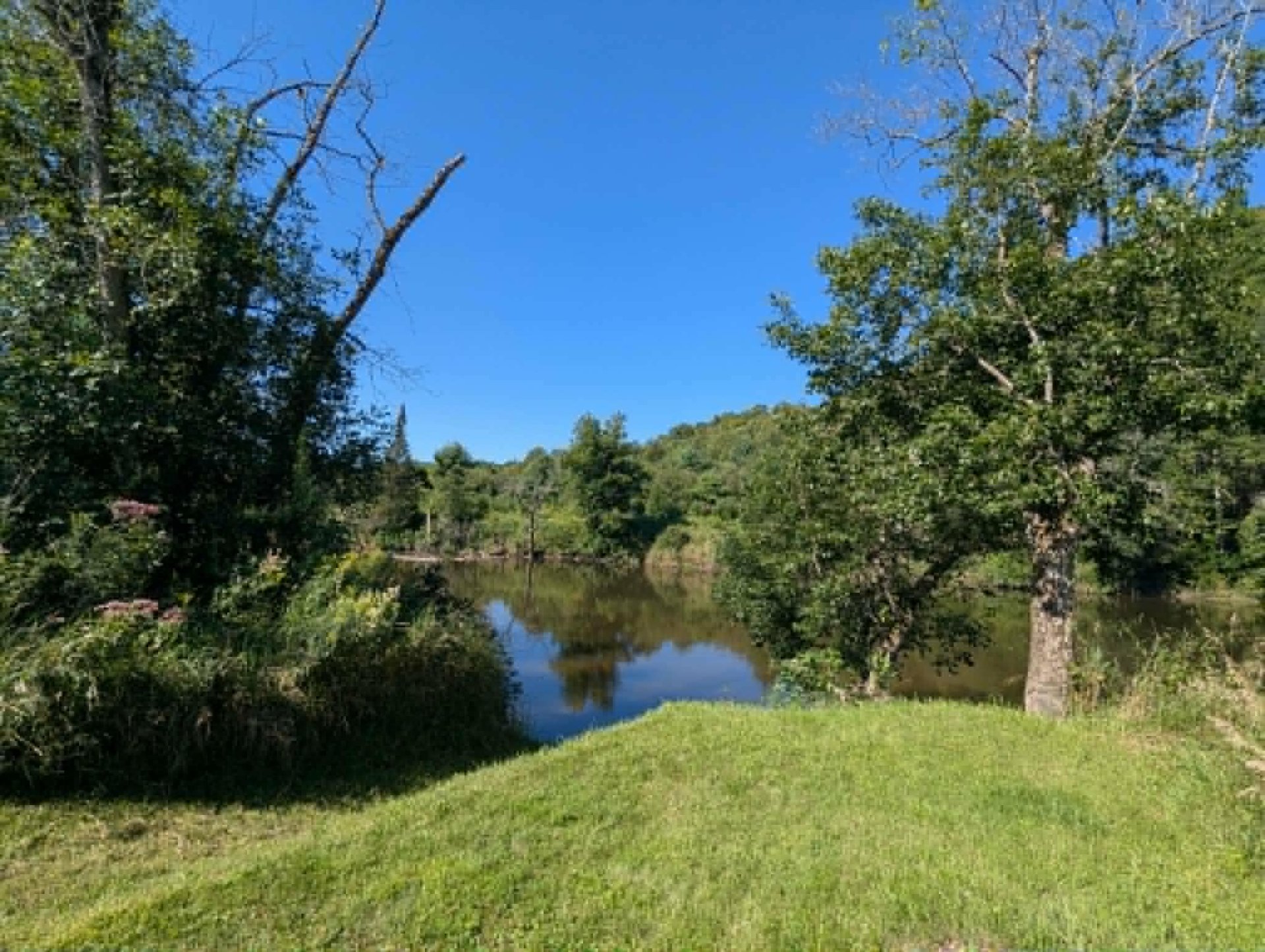 Water view