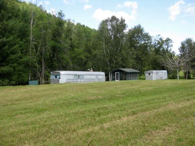 Overall view