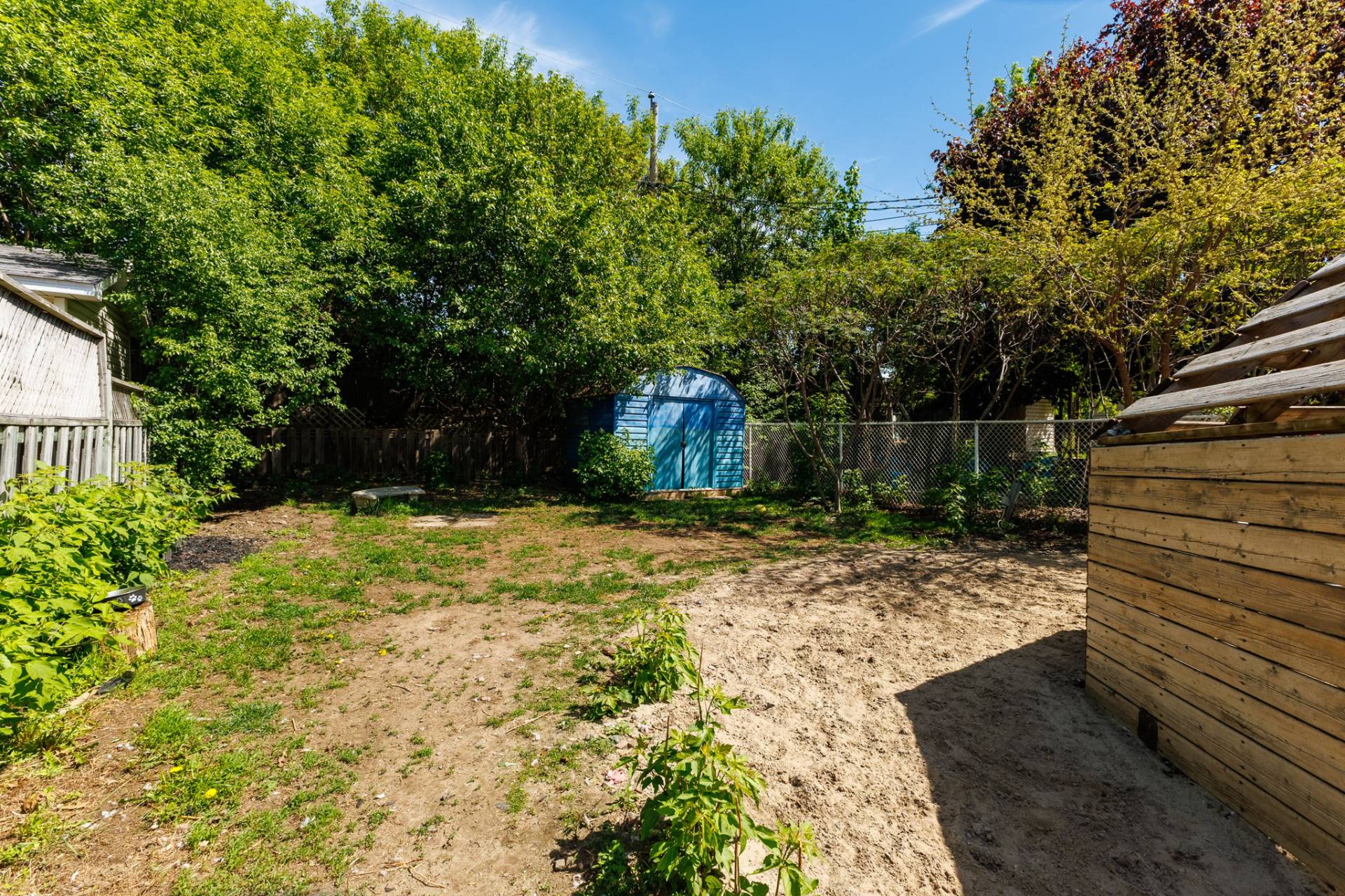 Backyard