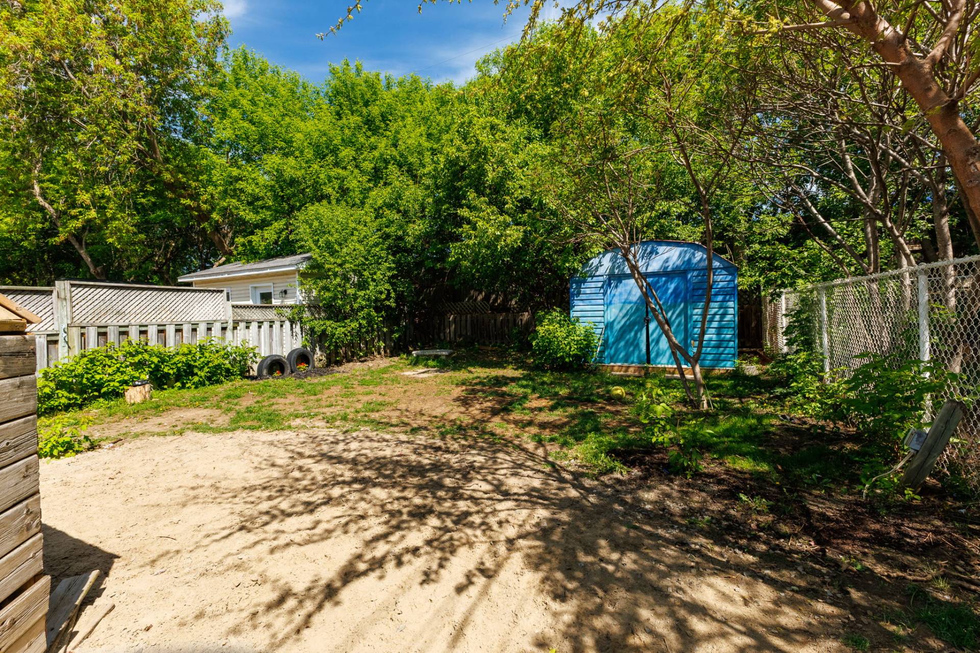 Backyard
