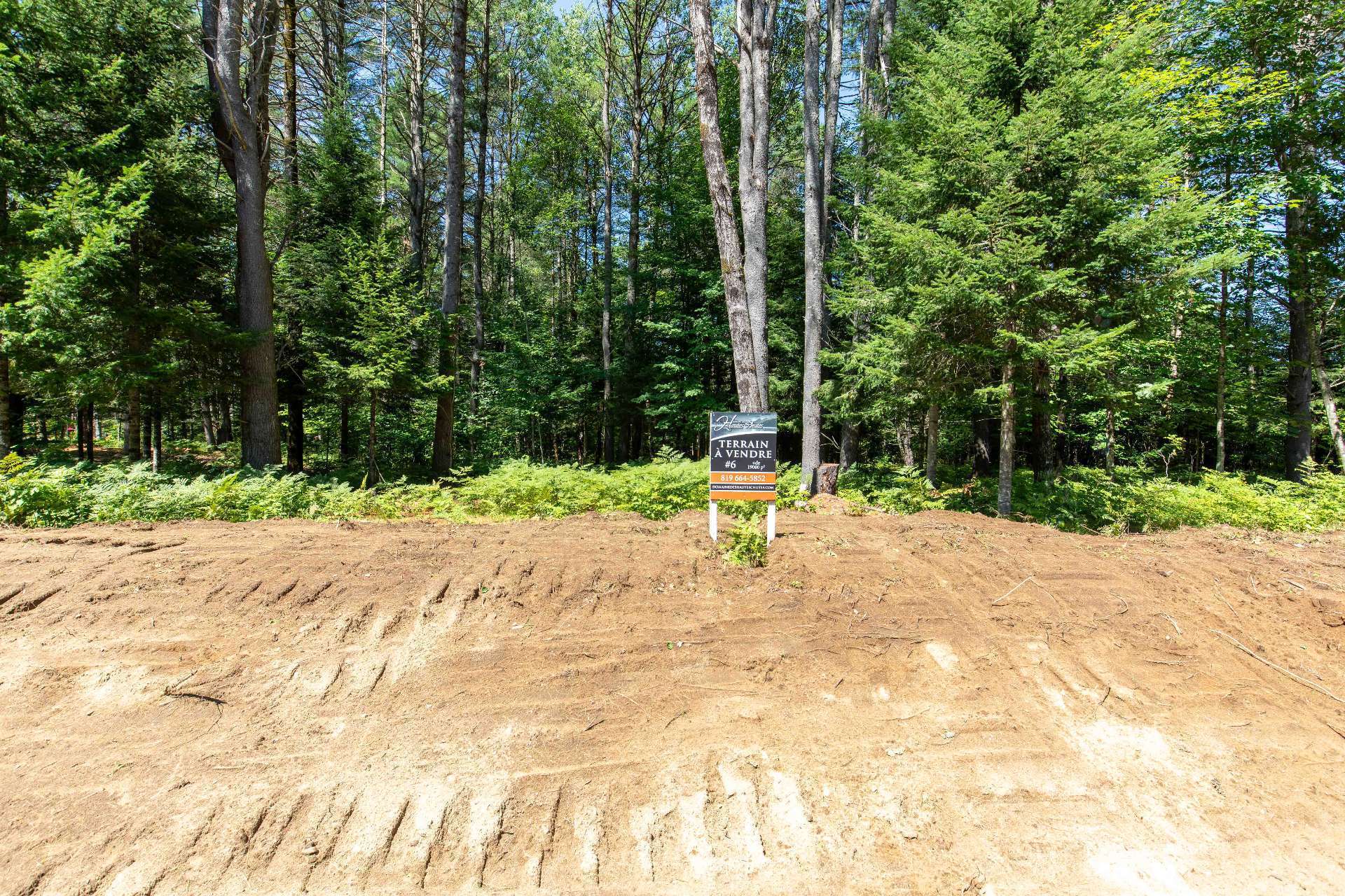 Land/Lot