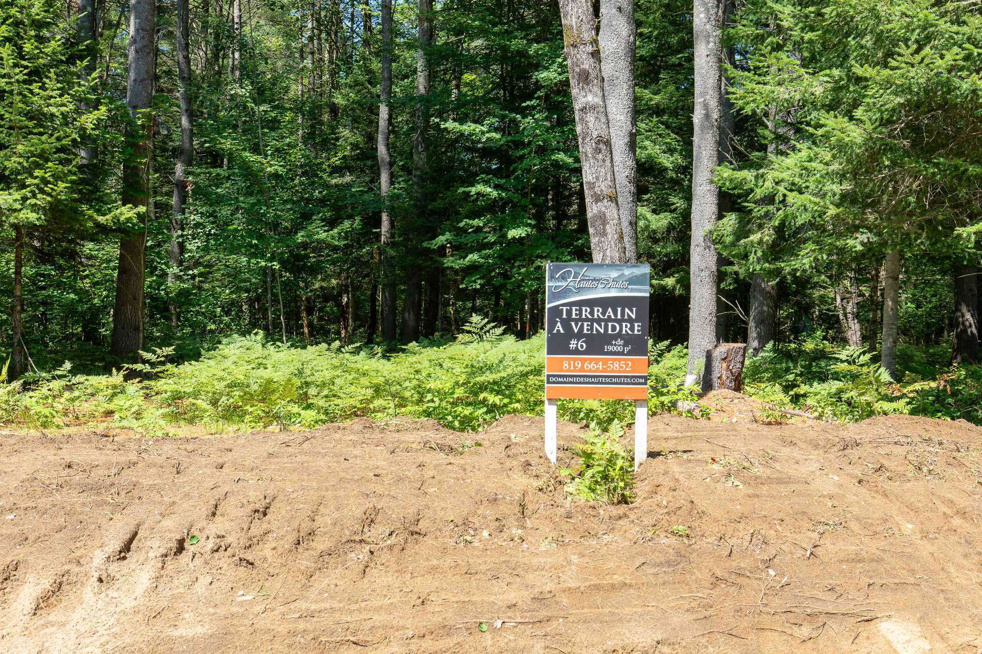 Land/Lot