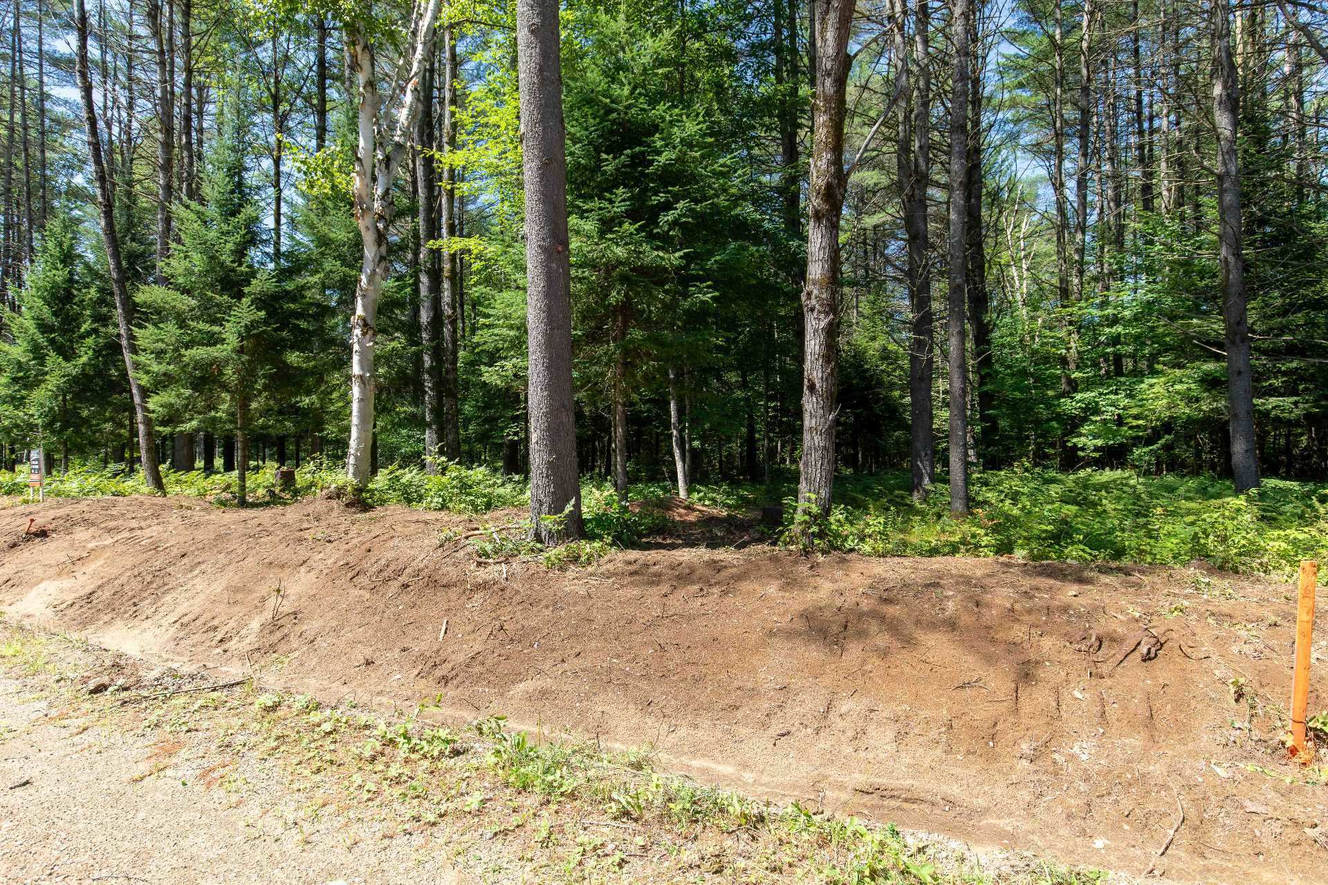 Land/Lot