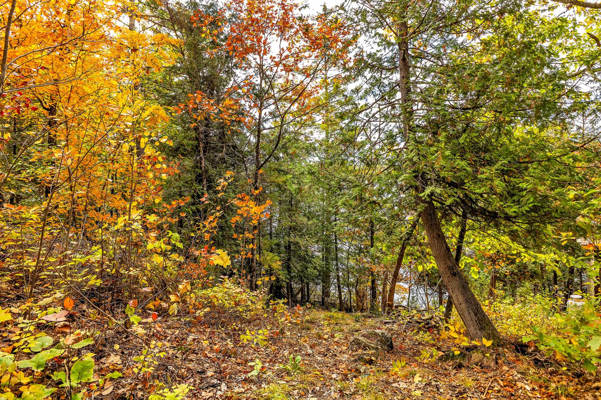 Land/Lot