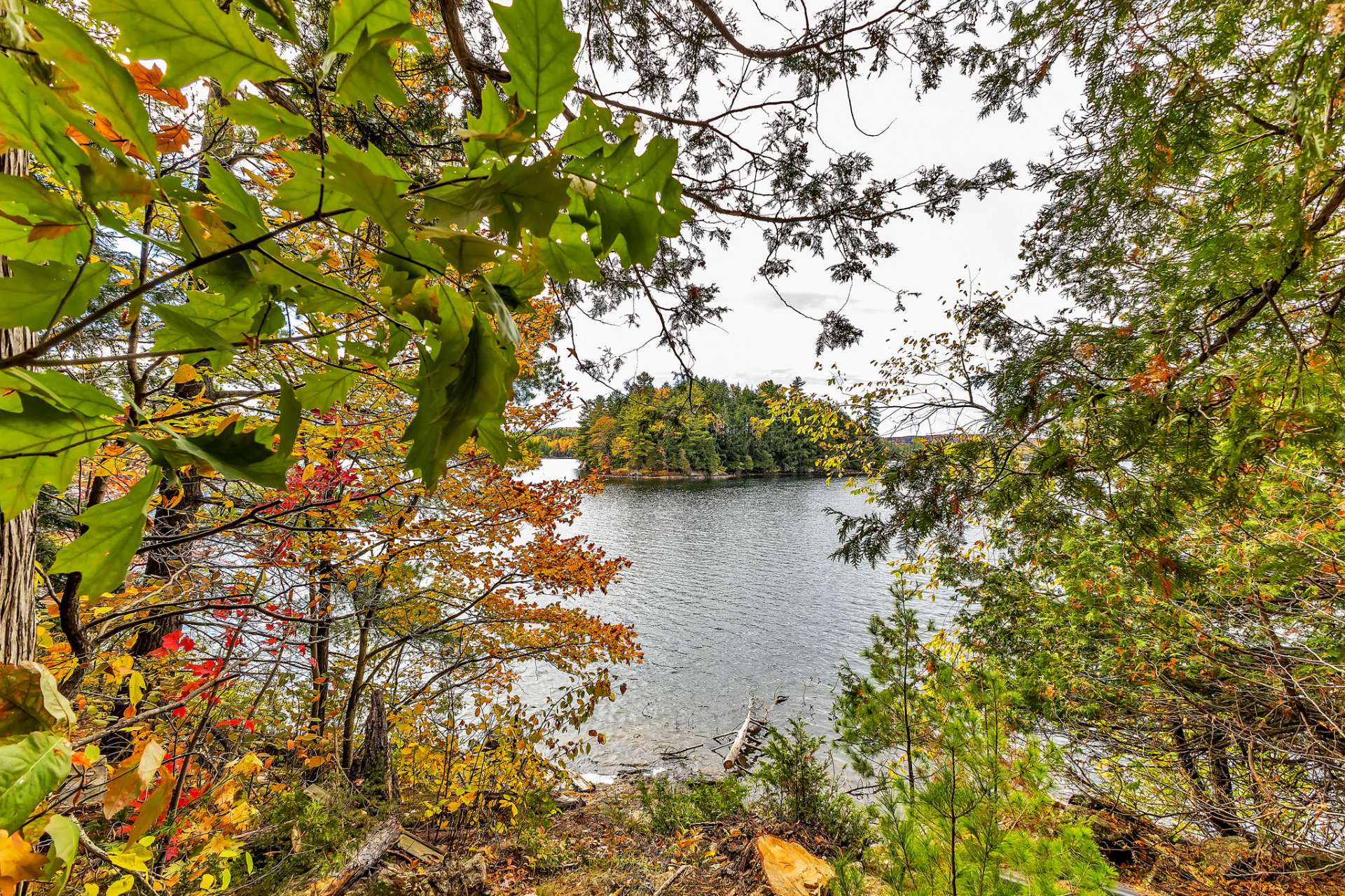 Water view