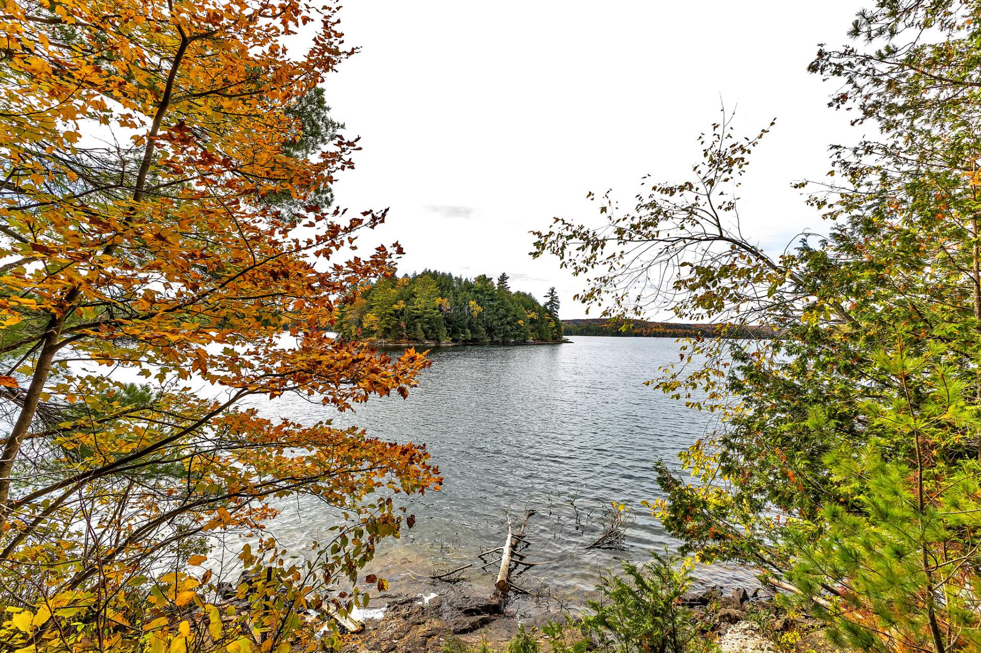 Water view