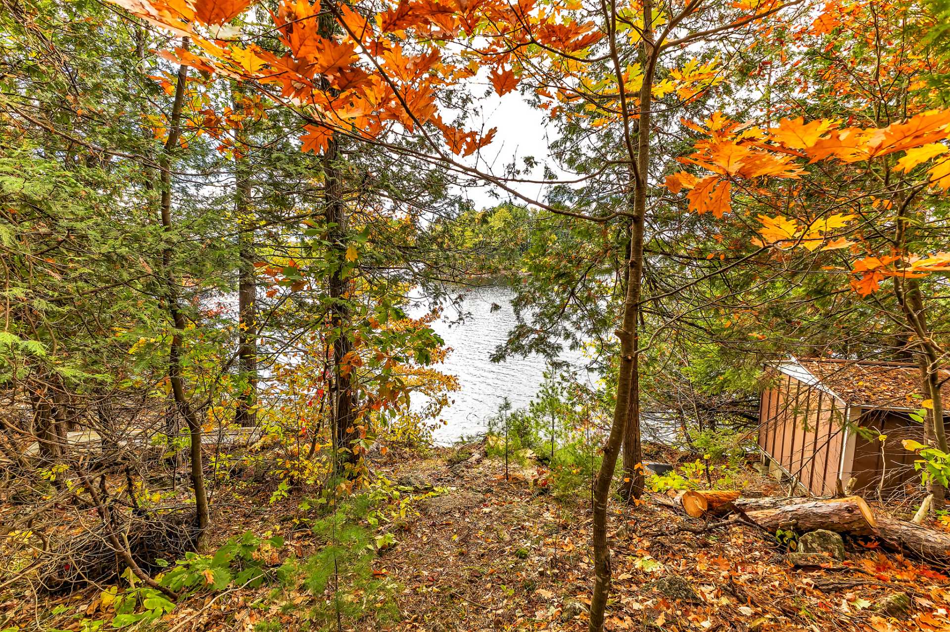 Land/Lot