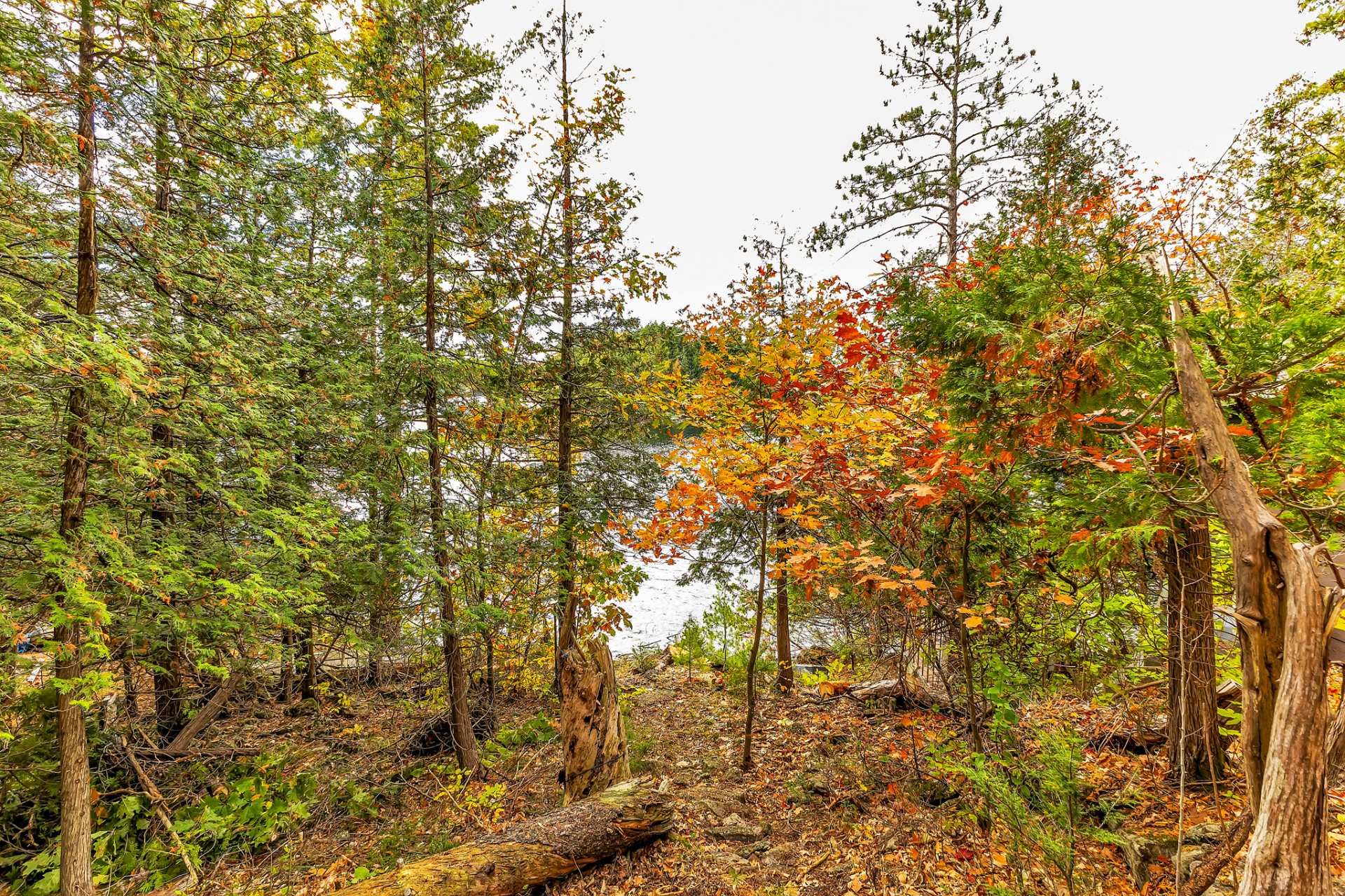 Land/Lot