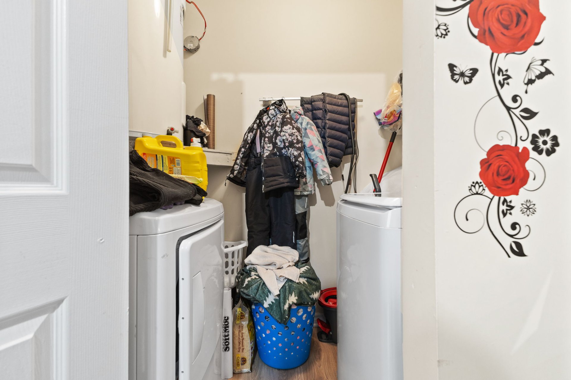 Salle de lavage - APT 1