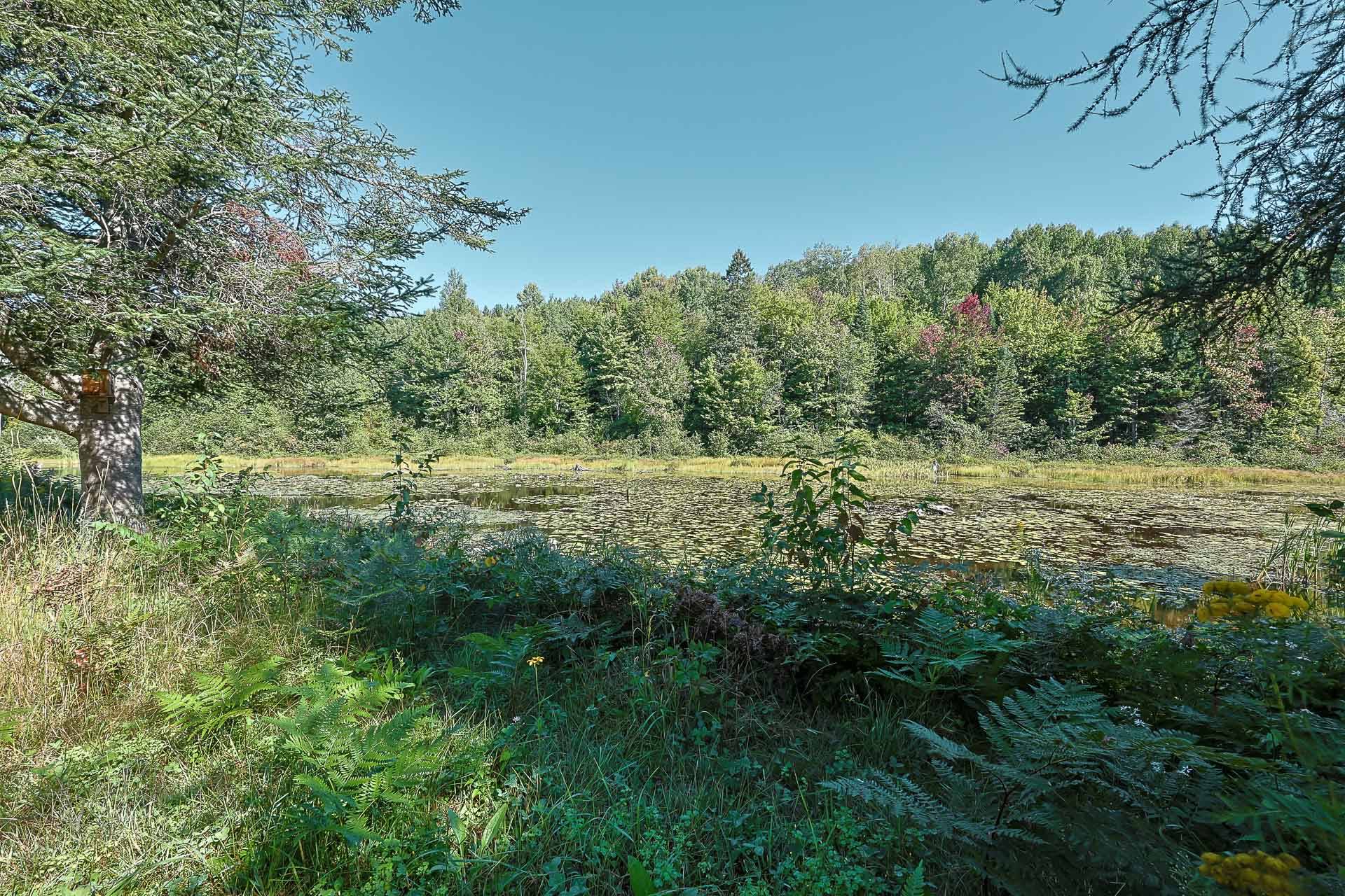 Lac Rossignol