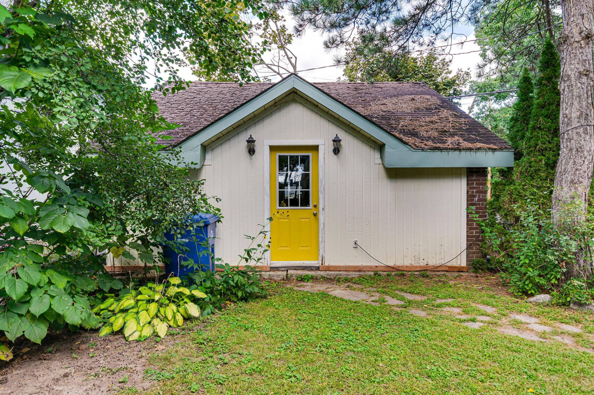 Shed