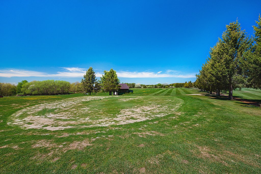 Land/Lot