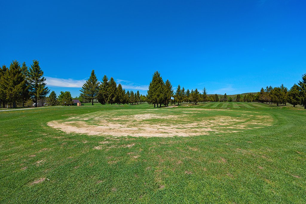 Land/Lot