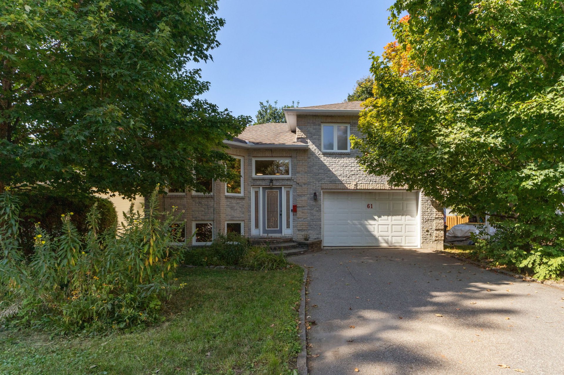 61 Rue Woods 