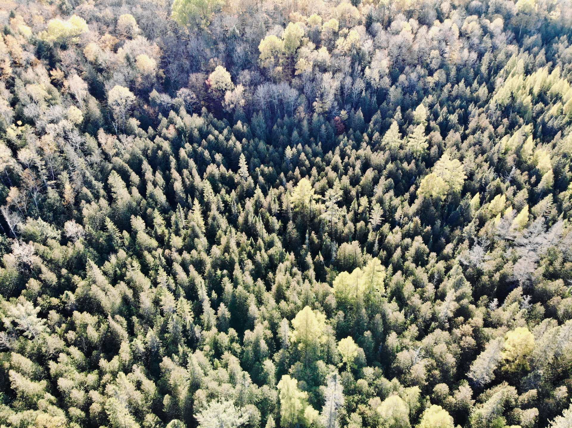 Aerial photo