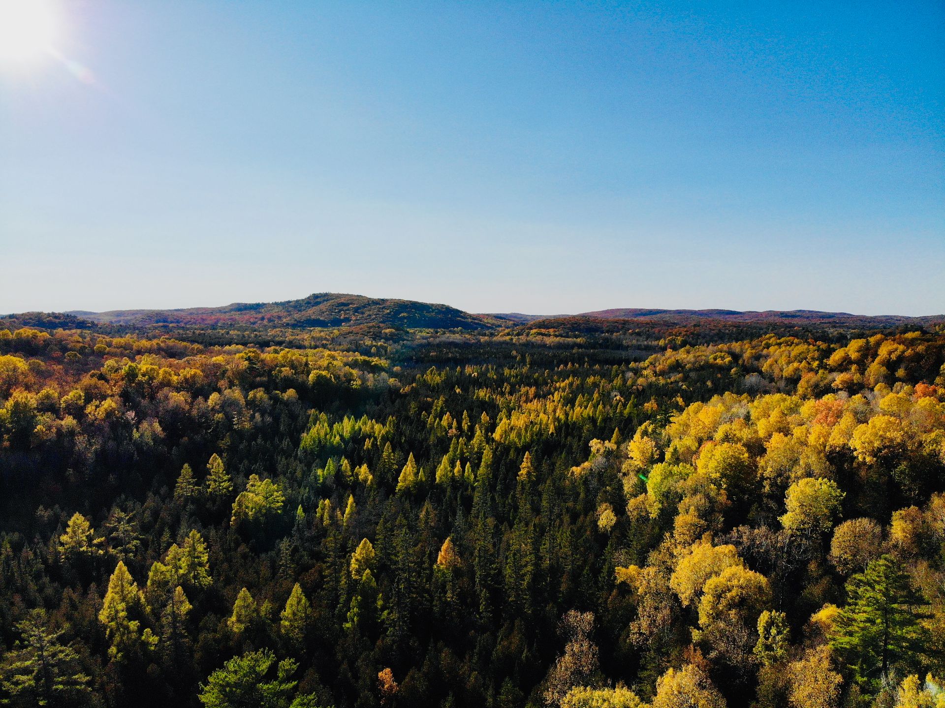 Wooded area