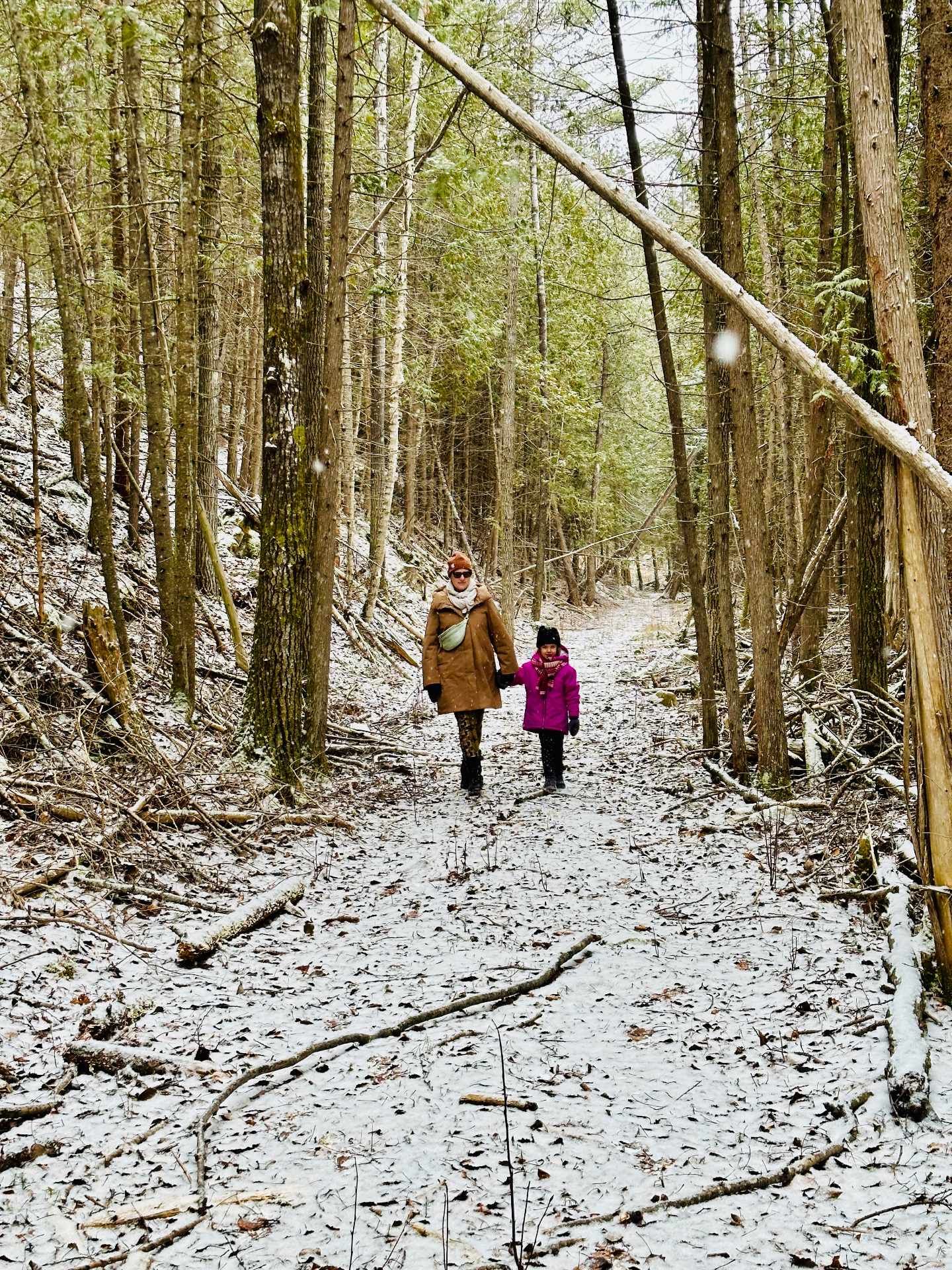 Wooded area