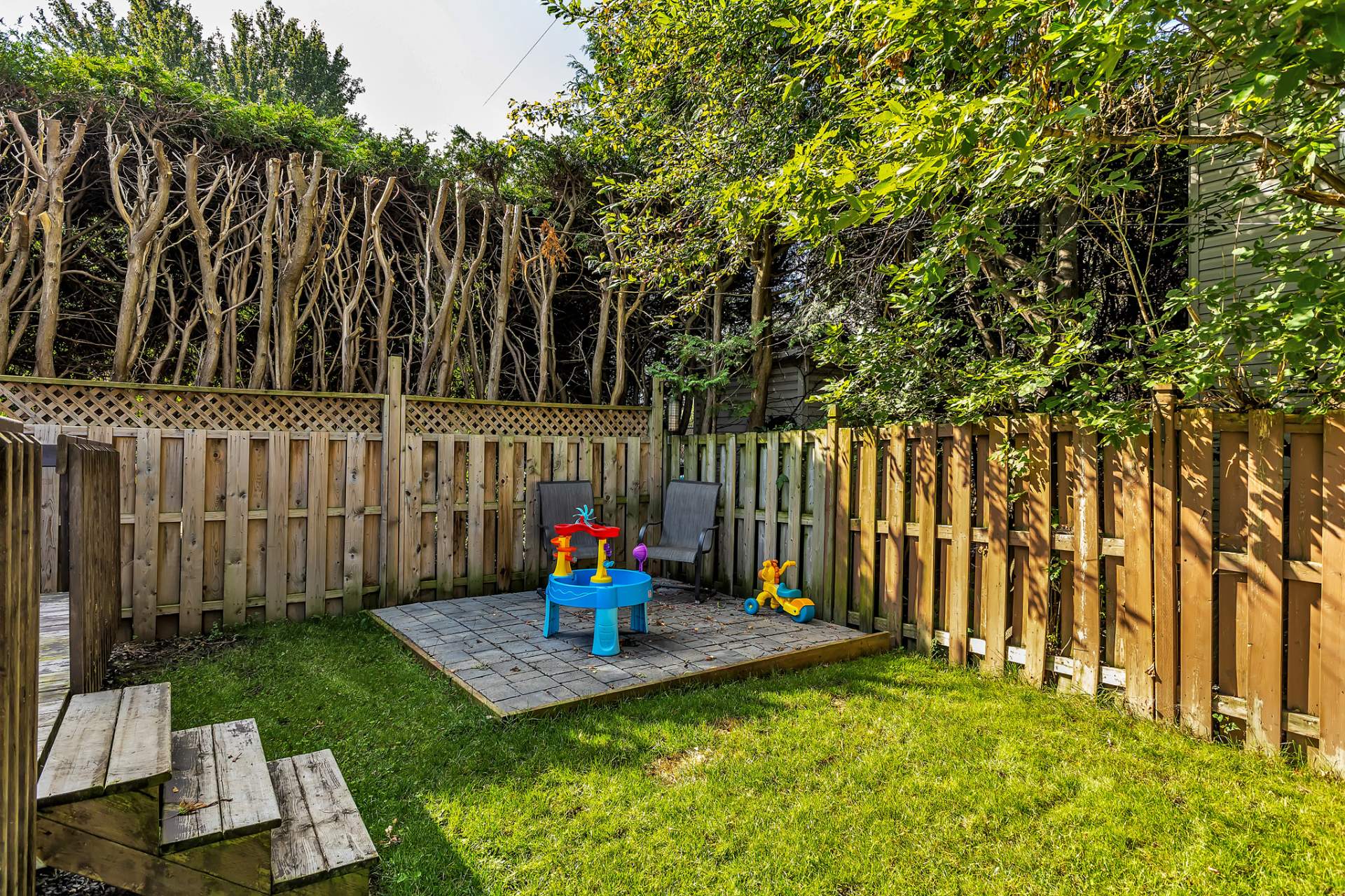 Backyard