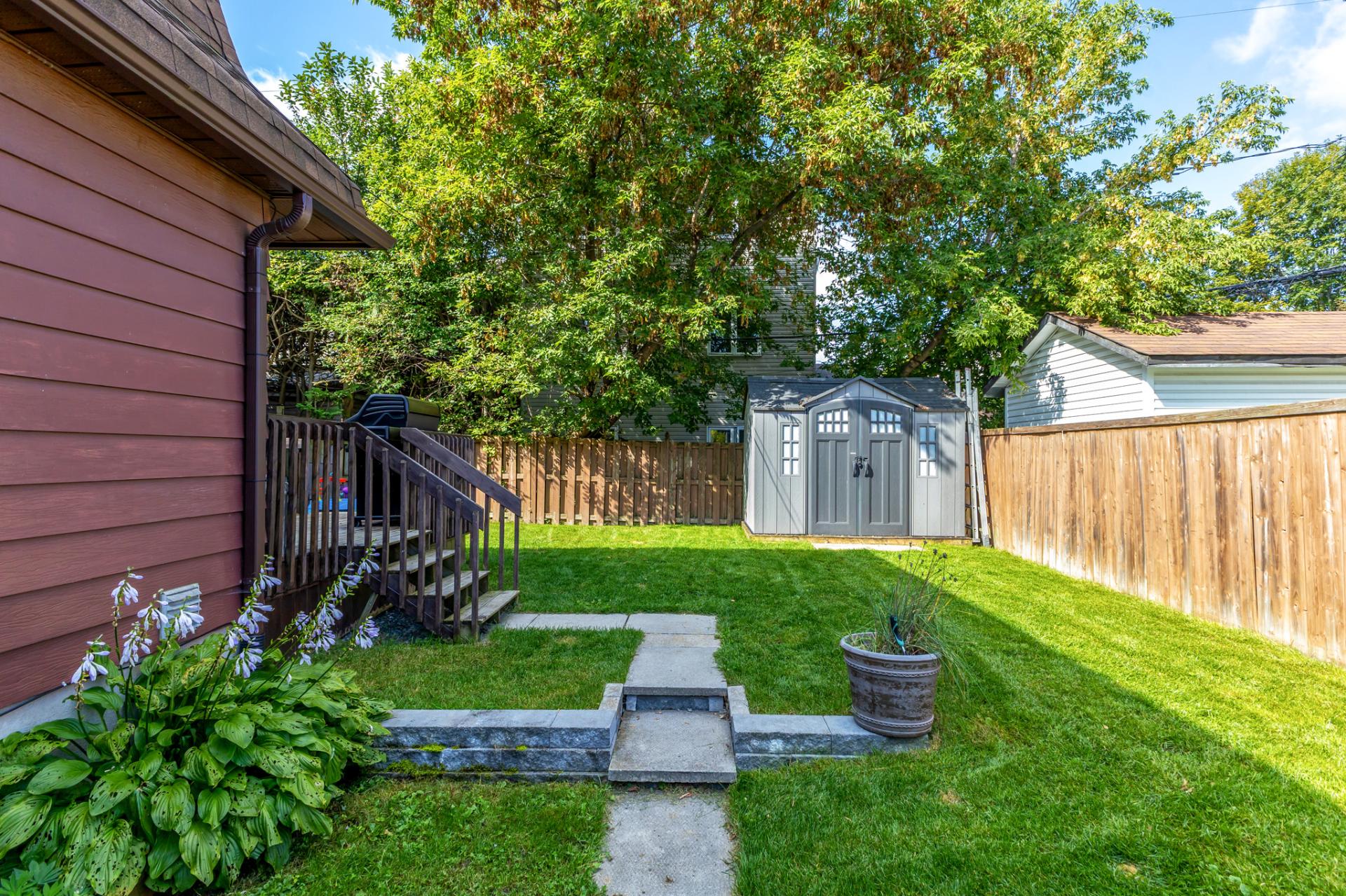 Backyard