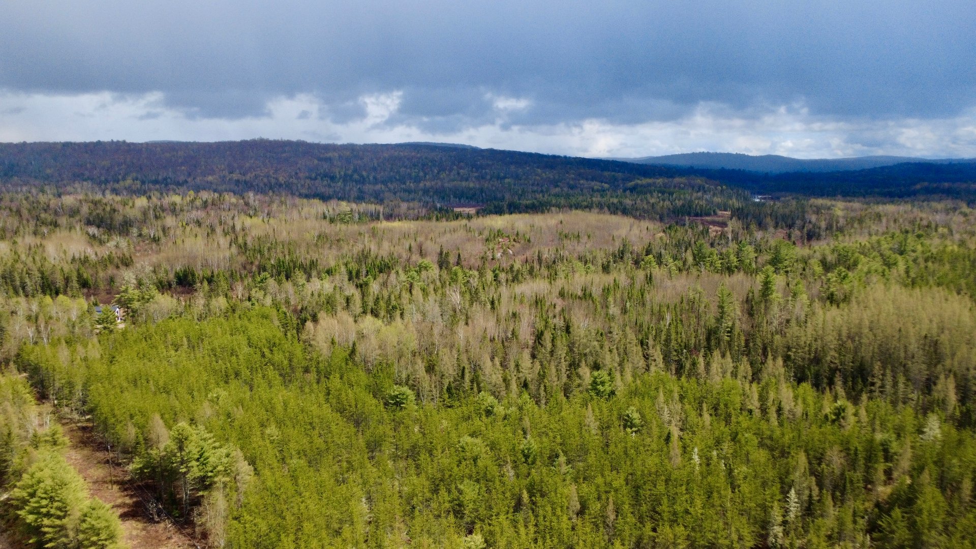 Terre/Terrain