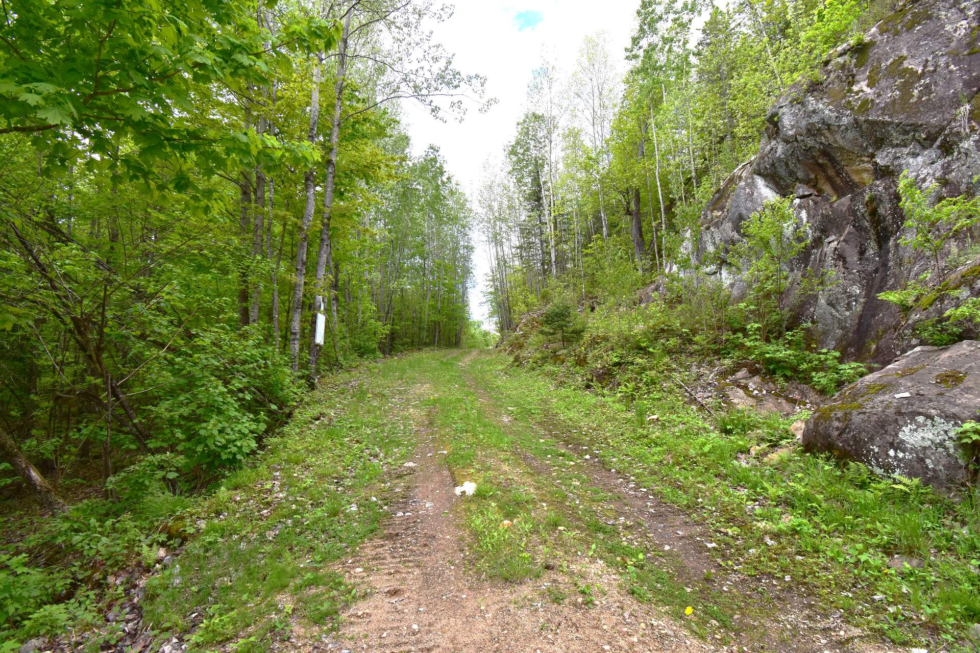 Street