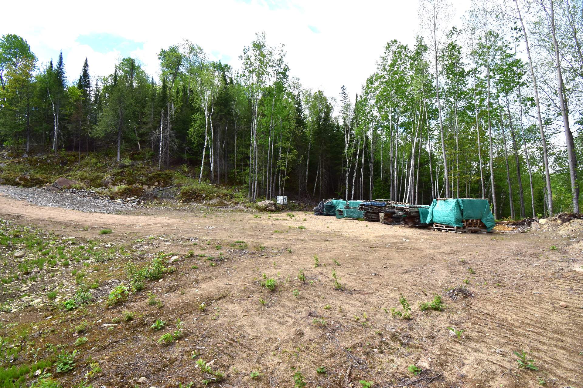 Land/Lot